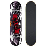 Tony Hawks SS 180 Complete Wingspan