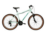 Kross Lea X100 Mint