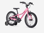 Preview_6a5210bcafec6446f500e508_precaliber16freewheel-27-79630-b-alt1_result