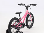 Preview_6a5210c2afec6446f500e50a_precaliber16freewheel-27-79630-b-alt2_result