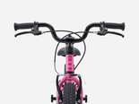 Preview_6a5210c8afec6446fb00e66a_precaliber16freewheel-27-79630-b-alt4_result