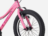 Preview_6a5210d1afec6446f500e50d_precaliber16freewheel-27-79630-b-alt5_result