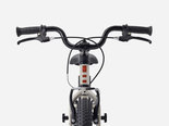 Preview_6a52119eafec6446f500e518_precaliber16freewheel-27-79630-d-alt4_result