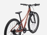 Preview_6a636e2aafec6446fd011978_precaliber248ssuspension-27-79836-d-alt2_result