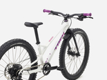 Trek Wahoo 24 Trail Crystal White Preview_6ac75083afec640468005b87_wahoo24trail-26-56351-b-alt1